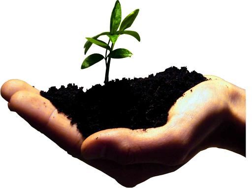 آموخته های یک معلم درباره کارآفرینی